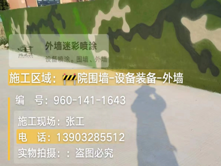 黄山 迷彩漆喷涂价格（按平方米计费）